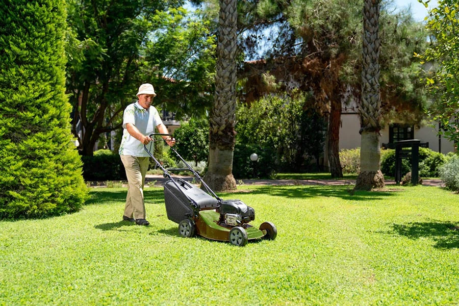 electric powered lawn mower